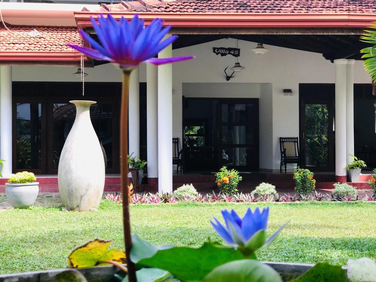 Villa 45 - Balapitiya Exterior foto